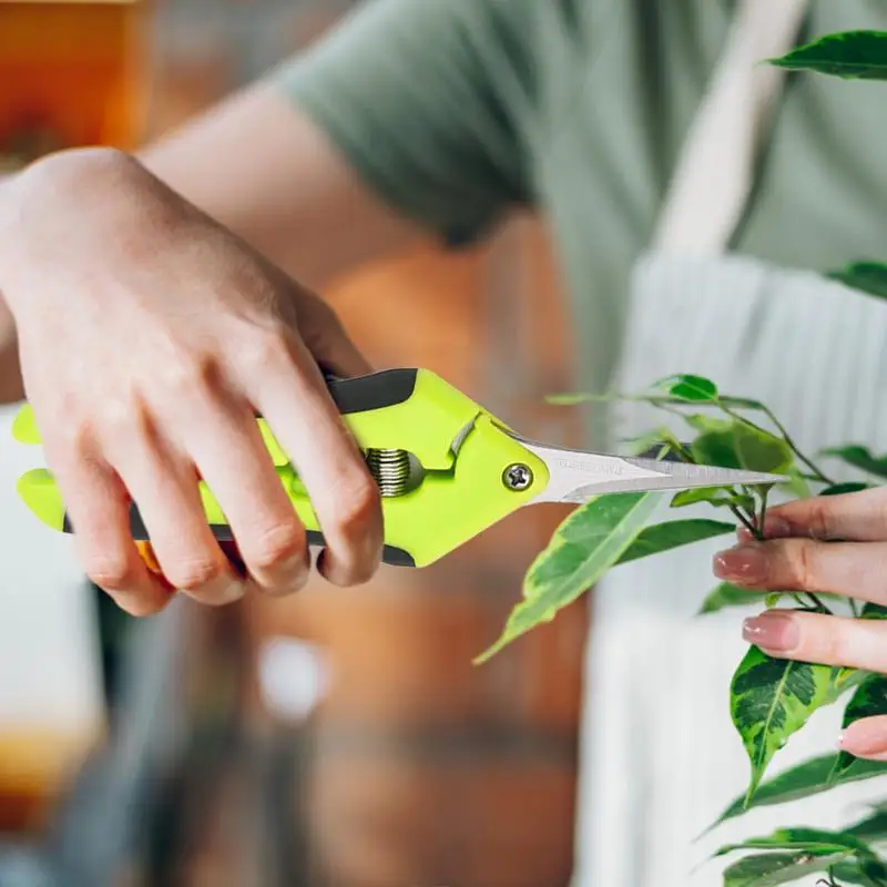 градински градинарски ножици от неръждаема стомана професионални остри Ножици За Подстригване с Мека Дръжка Градински Ножици за цветята и растенията Изображение 5